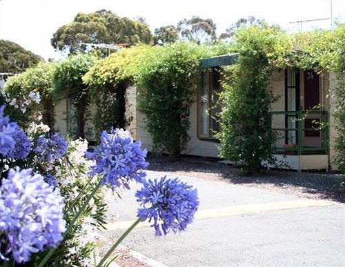 西城汽车旅馆 Ardeer 外观 照片