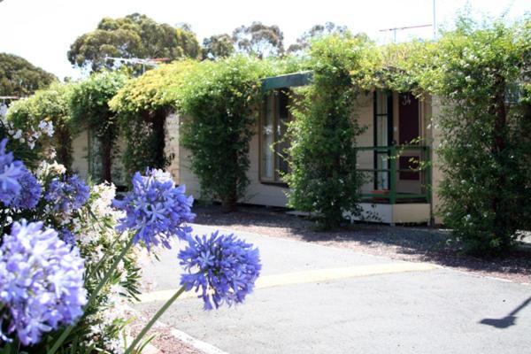 西城汽车旅馆 Ardeer 外观 照片